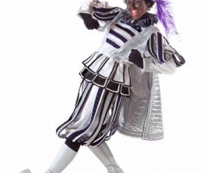 013dd24022011hoornev 013dd24022011hoornev