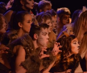 DSC_5905-scaled DSC_5905-scaled